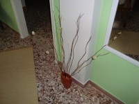 /album/%cf%86%cf%89%cf%84%ce%bf%ce%b3%ce%ba%ce%b1%ce%bb%ce%b5%cf%81%ce%af%3a-%ce%b1%cf%81%cf%87%ce%b9%ce%ba%ce%ae-%cf%83%ce%b5%ce%bb%ce%af%ce%b4%ce%b1/dsc03657-%28%ce%b1%ce%bd%cf%84%ce%b9%ce%b3%cf%81%ce%b1%cf%86%ce%ae%29-jpg1/